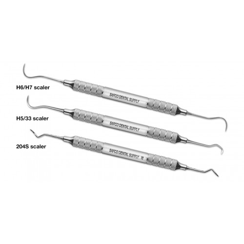 Scaler 204s