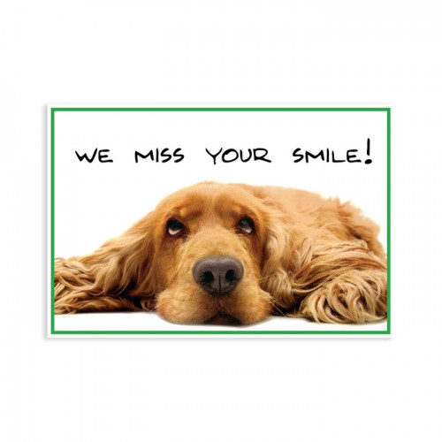 Dog Miss Your Smile Postcard - 250/pk