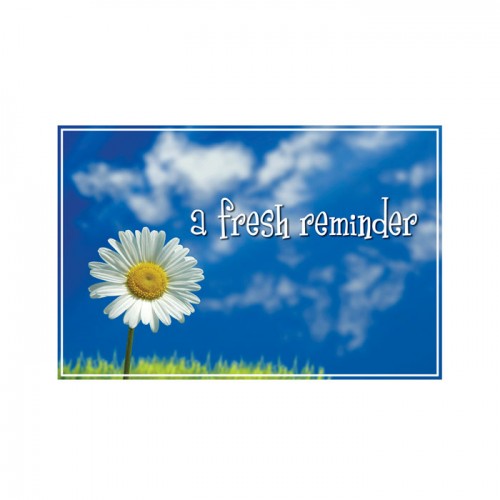 Fresh Reminder Postcard - 250/pk