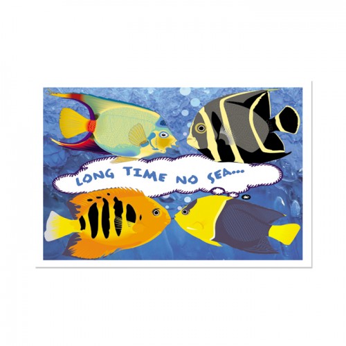 Long Time No Sea Postcard - 250/pk