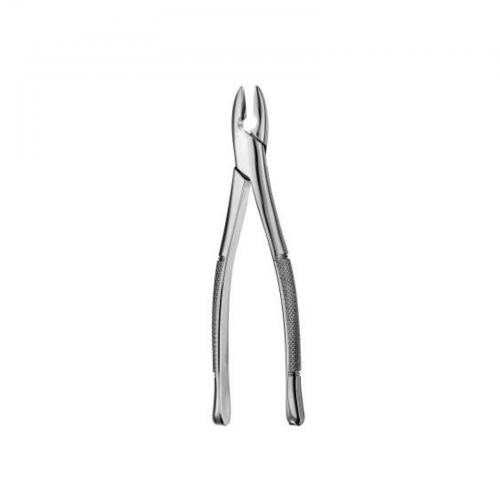 Extraction Forceps, 1/Pk